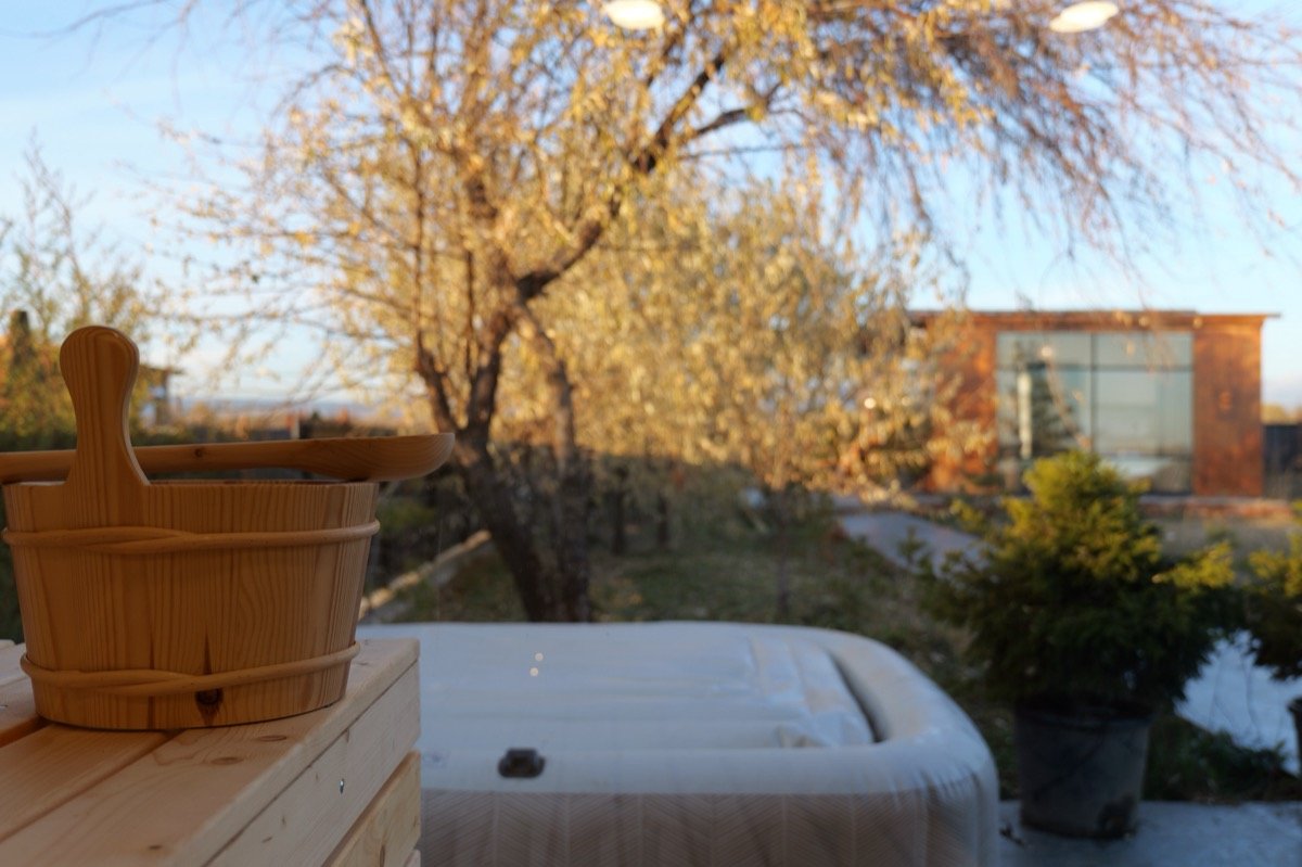 Skyview Wellness Cabin bedroom view